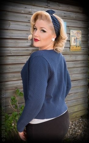 blauw wit polkadot